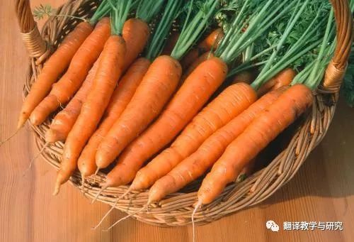 古代蔬菜水果传入中国的时间,各个朝代传入中国的蔬菜和水果