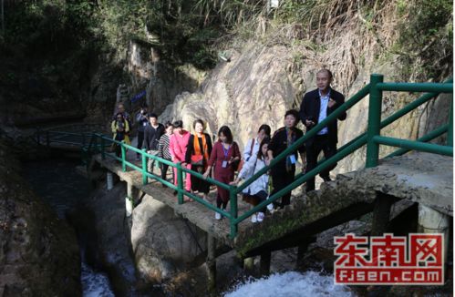 闽清黄楮林温泉,全国媒体大型采访团