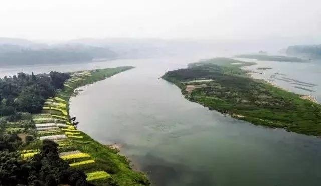 石蟆橄榄节,2019年石蟆广场橄榄节