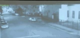 1962上海蒙古国女留学生被害案,留学生赴美遇害