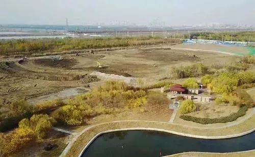 天津哪个区交通教育医疗资源好,天津市内六区医疗教育对比