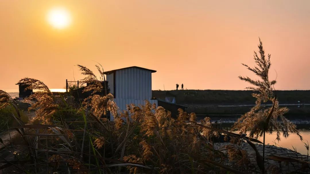 新安、福海、沙井、新桥、燕罗2019年关键词出炉，速度来get！