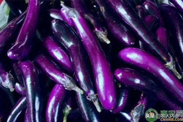 8月12日农产品批发价格,5月11日农产品批发价格