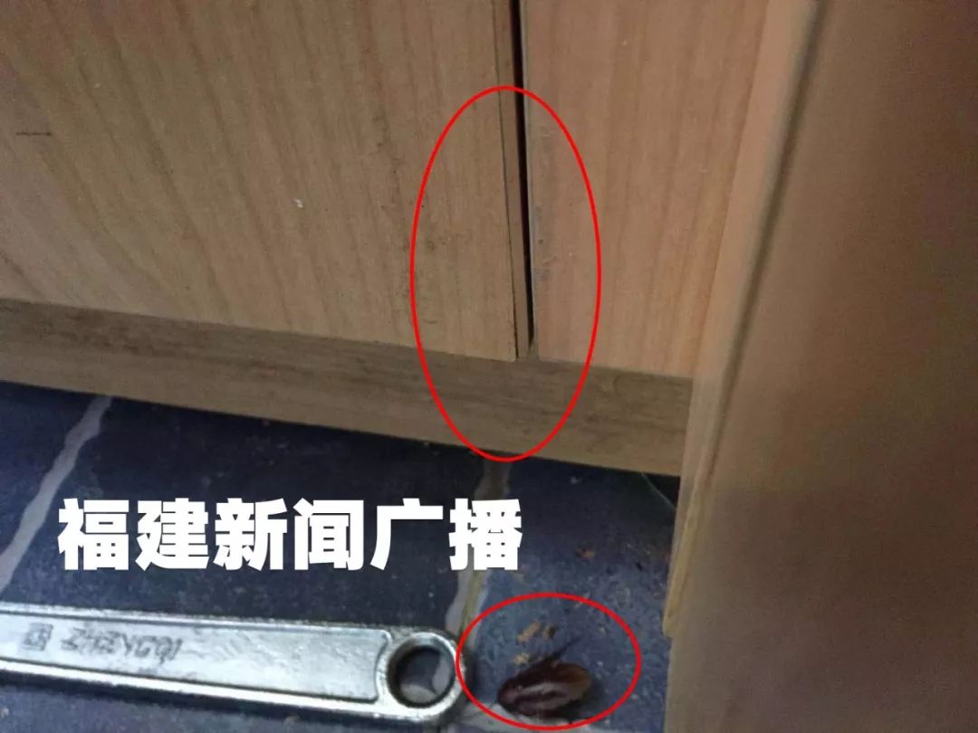 欧派橱柜保修多久,欧派橱柜出现质量问题找谁