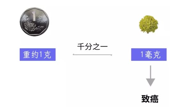 1级致癌坚果有哪些,1级致癌坚果名单