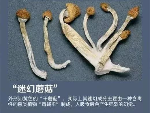防不胜防一不小心就被娃套路了,防不胜防儿童