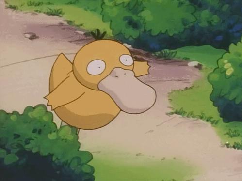 12月最火爆的热门旅行地，往北走，玩雪滑冰；往南走，温泉赏花