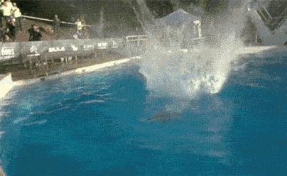 iphone相机功能逆天吗,iphone自带相机能拍摄影作品吗