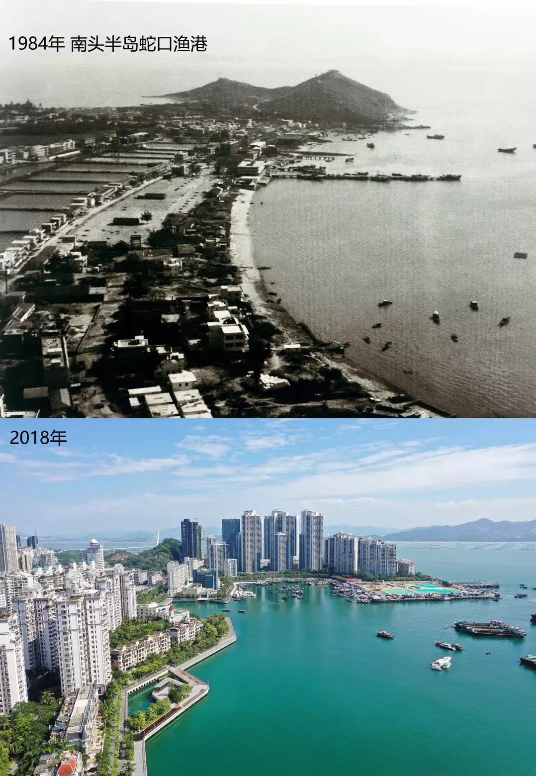 生活在蛇口是什么感觉,深圳蛇口本地人的生活