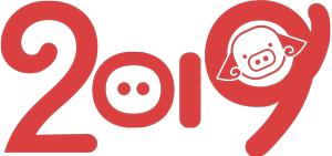 石林县校园足球比赛,石林鹿阜小学足球节