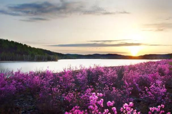 鄂伦春文化旅游,鄂伦春自治旗文化和旅游