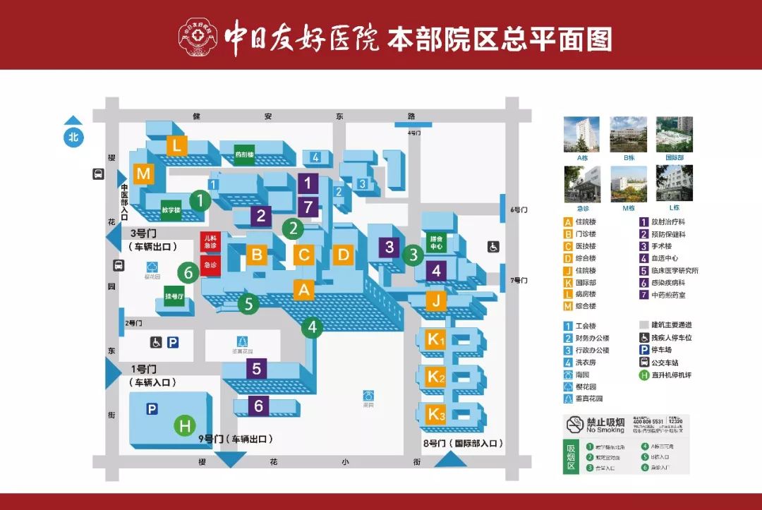 矮小症科普主题,矮小科普知识