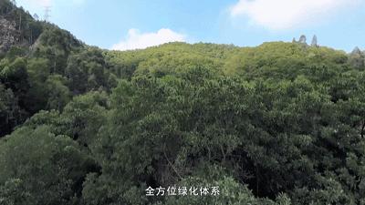 这里是新桥小学,这里是新桥