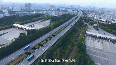 这里是新桥小学,这里是新桥