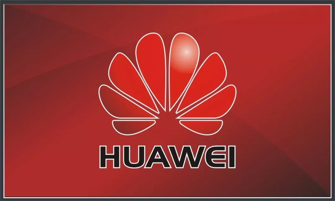 阜阳虐猫事件国外媒体评论,狗虐狗事件