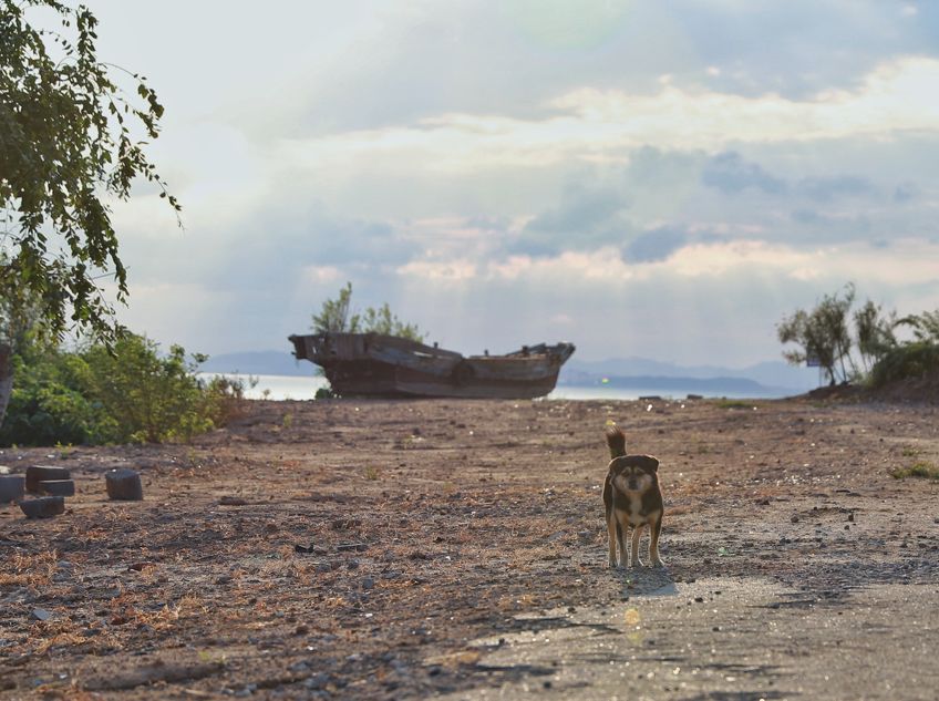 最具幸福感的县级市中唯一一座上榜的北方小城，光是海鲜就能吃到你激灵！
