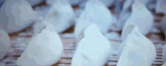 最具幸福感的县级市中唯一一座上榜的北方小城，光是海鲜就能吃到你激灵！