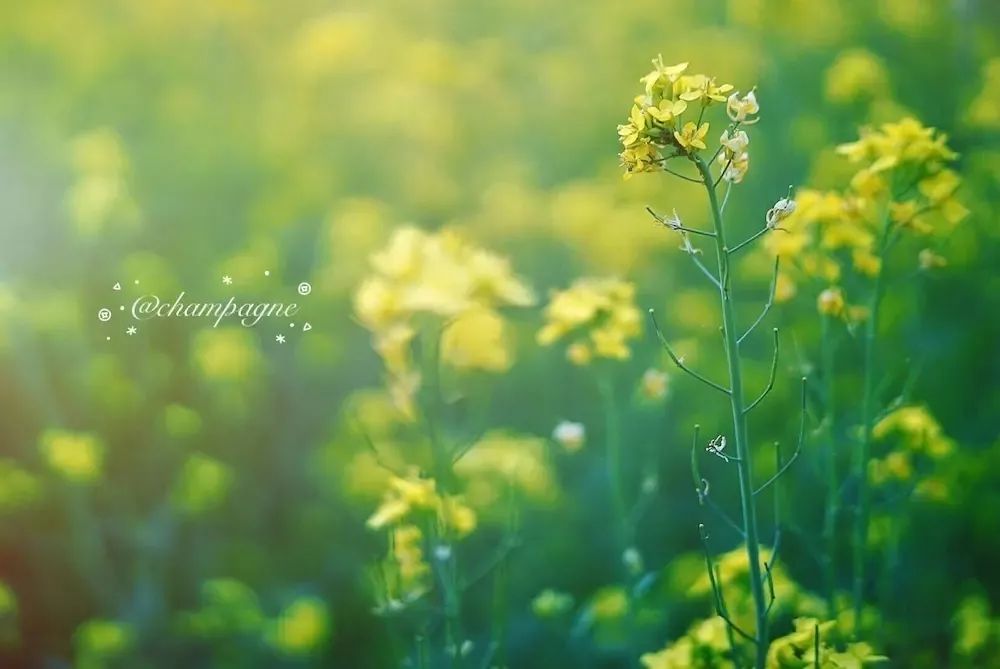 摄影学会了能拍什么,摄影到底应该拍什么