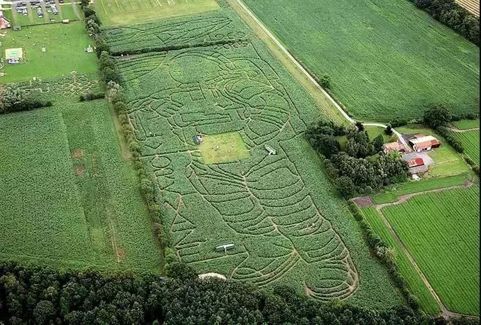 鍐滃簞鍐滃満鍒涙剰鏅,浼戦棽鍐滃簞鐗硅壊鏅