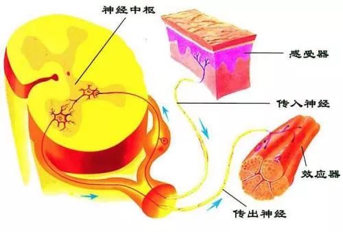 上海闵行哪里泡汤最好,闵行区适合泡汤的地方