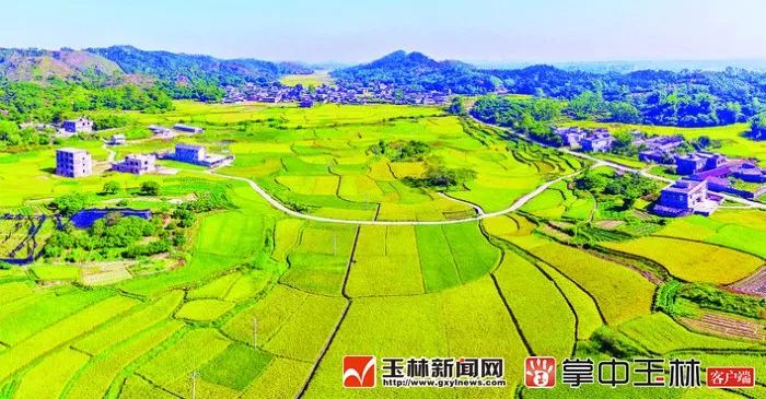 你真的了解博白吗?来了解一下!