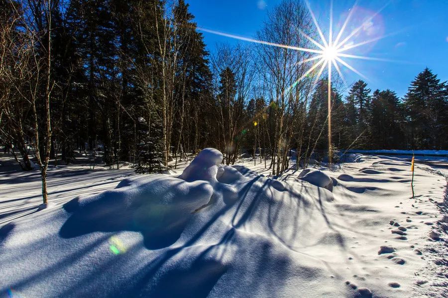 元旦雪天交警提示,交警元旦两公布一提示图片
