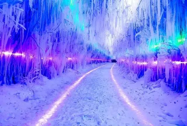 悠游吉林来吉林赏雾,悠游吉林直播回放