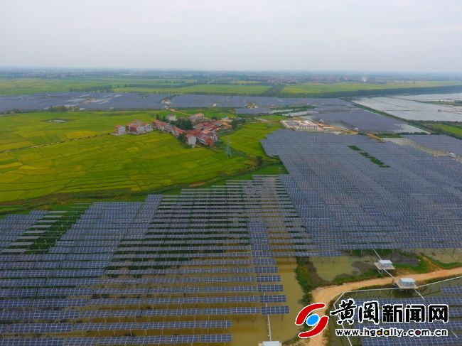 武穴市石佛寺镇魏高邑村,武穴市石佛寺镇魏高邑村农业基地