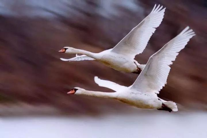 2021咬文嚼字十大语文差错,十大语文差错自测一下你中了几个