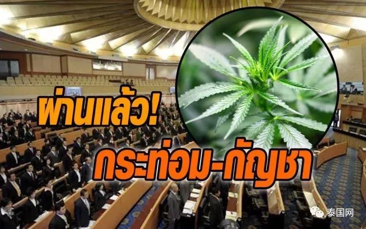 泰国大麻合法化攻略,泰国免税店代购必买物品清单