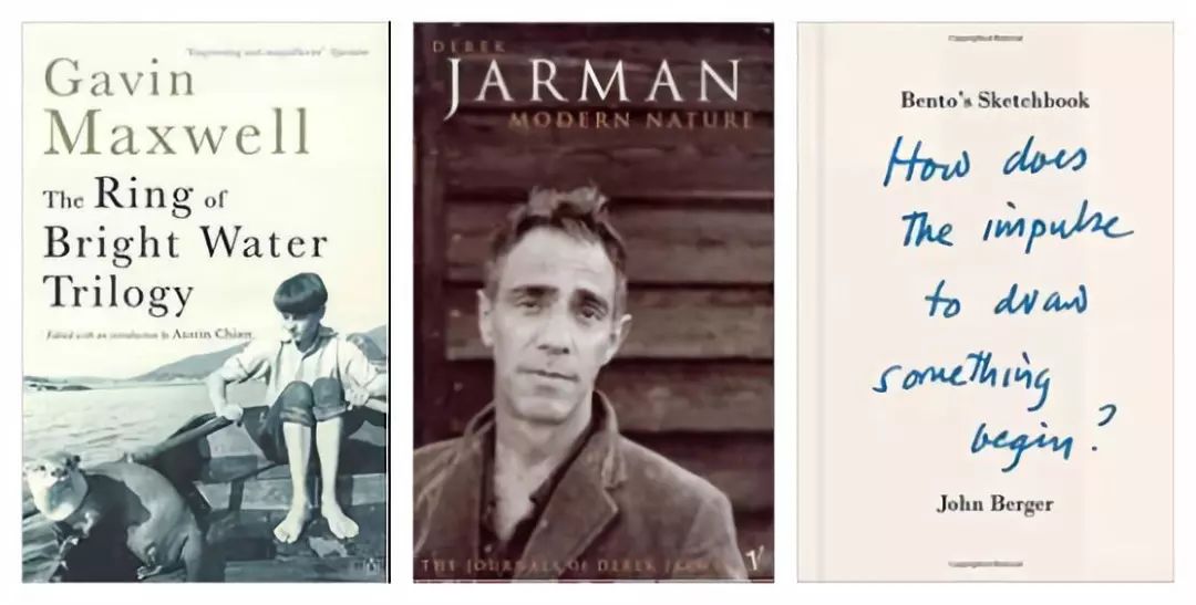 明星读书,明星不炒股真的吗