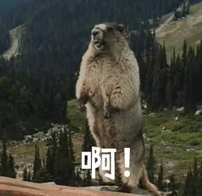 苹果id贷是不是诈骗,苹果id贷款被骗了怎么办