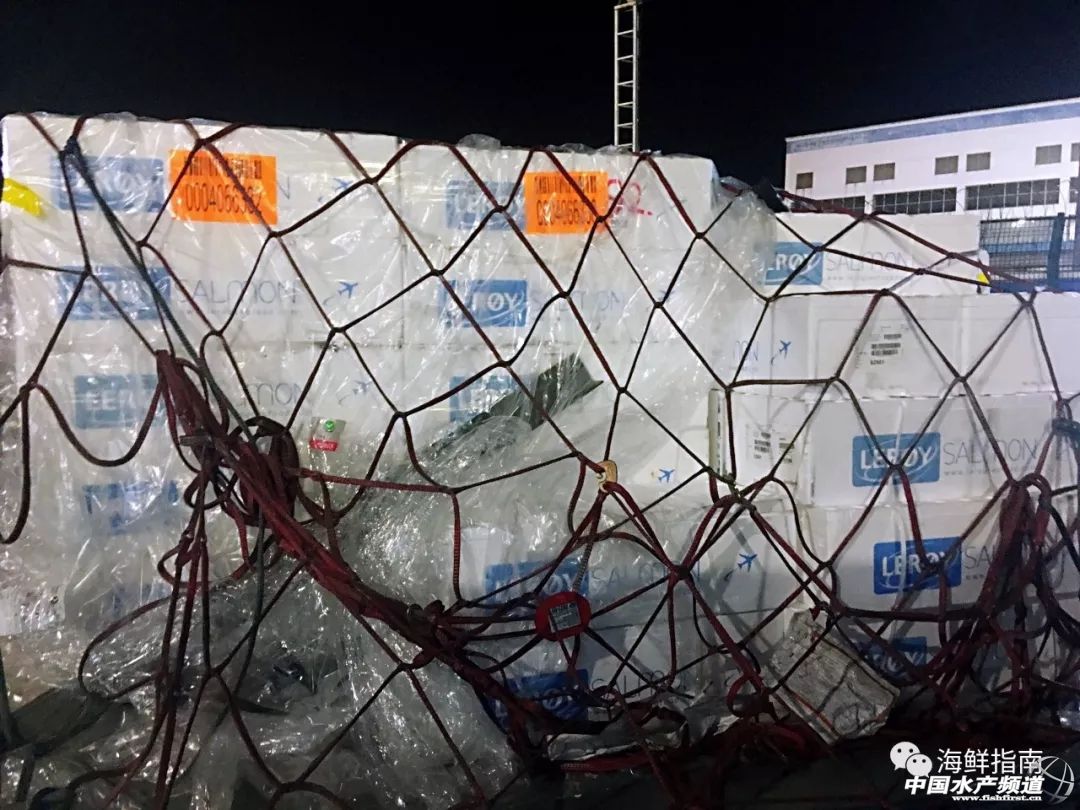 进口的三文鱼是新鲜的还是冷冻的,正宗挪威三文鱼购买渠道