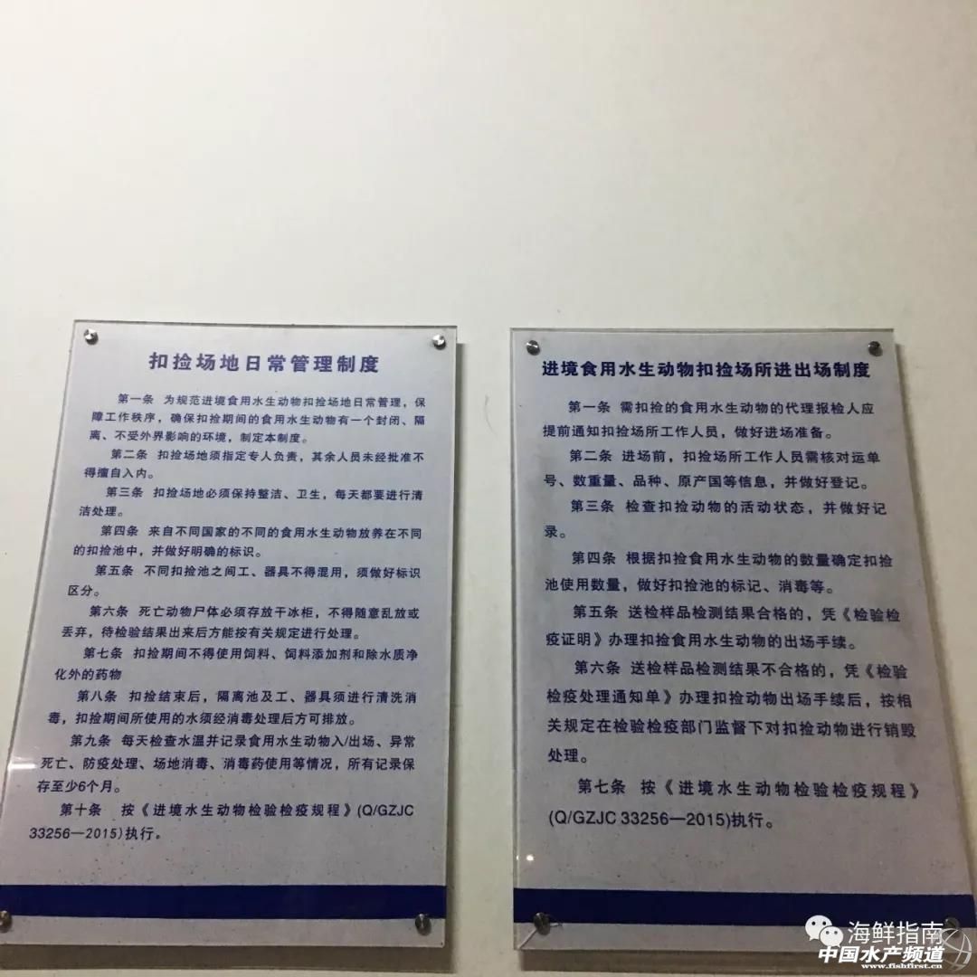 进口的三文鱼是新鲜的还是冷冻的,正宗挪威三文鱼购买渠道