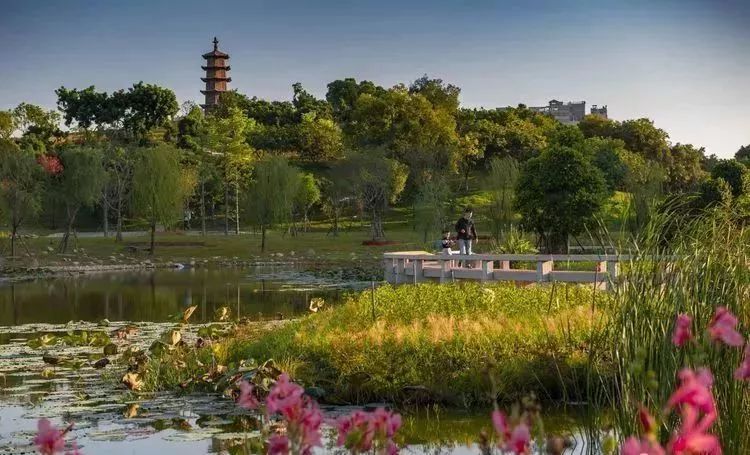 厦门夜景最美公园排名前十的地方,厦门公园美景视频