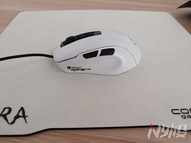 白冰豹子,黑冰和白冰视频