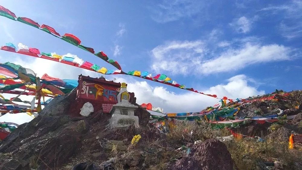 起风了小幸运哪个颜色好看,起风了分享感悟