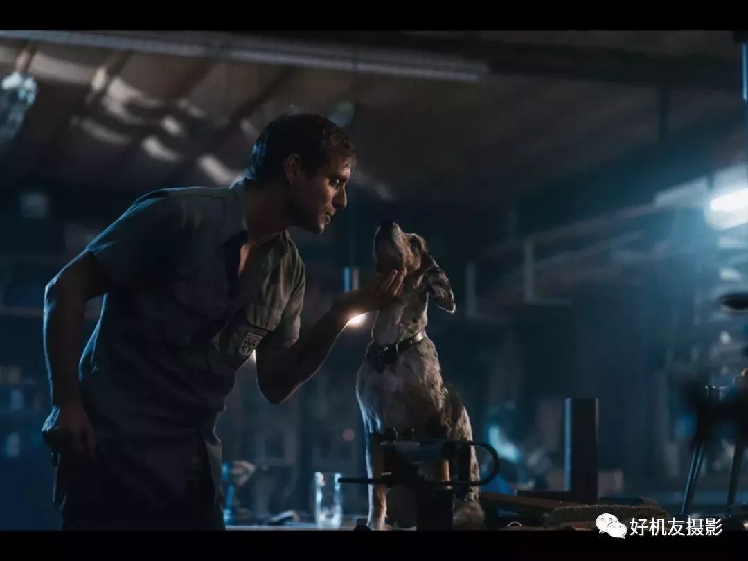 raw格式后期修图教程,raw和jpg格式后期差别大吗