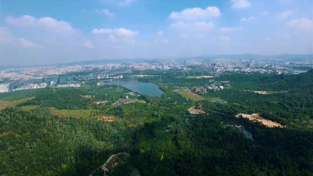 这里是佛山,小镇松岗