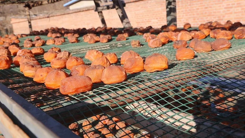 玩的地方推荐三天游,附近旅游攻略三天游