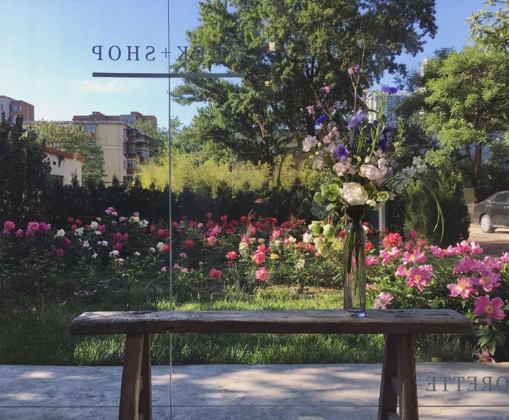 北京才女徐静蕾,徐静蕾李亚鹏北京台