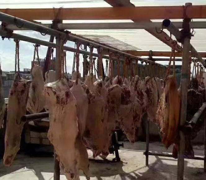 云南寻甸牛干巴做法,舌尖上的云南普洱茶