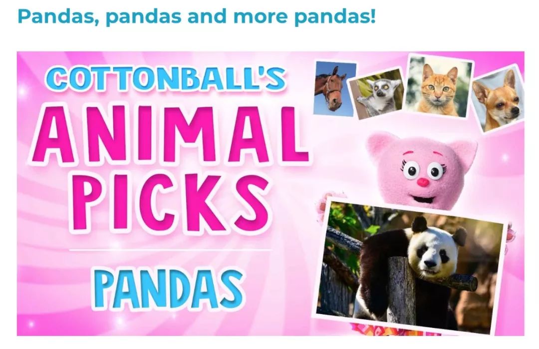 老外多爱猫咪,老外多爱中国