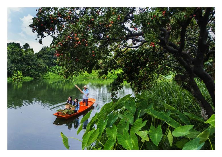 缘起海珠｜与你一起走过改革开放40年的海珠区