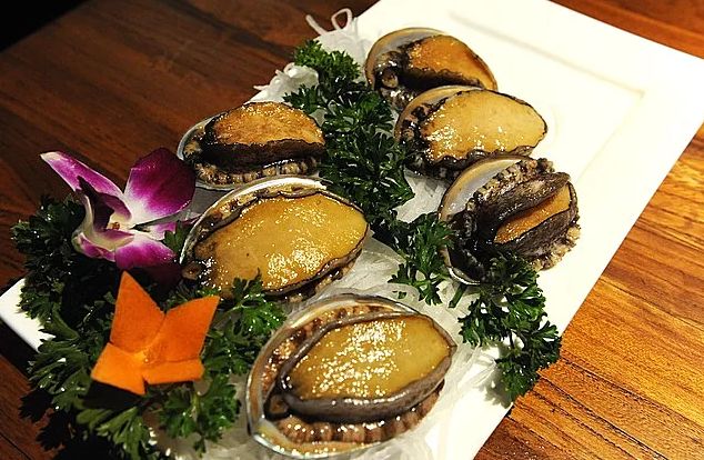 胃癌能吃虾海鲜吗,肿瘤患者可以吃海蛎吗