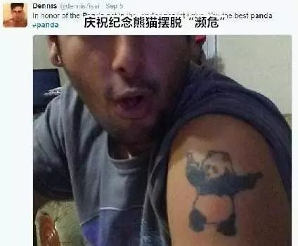 老外多爱猫咪,老外多爱中国