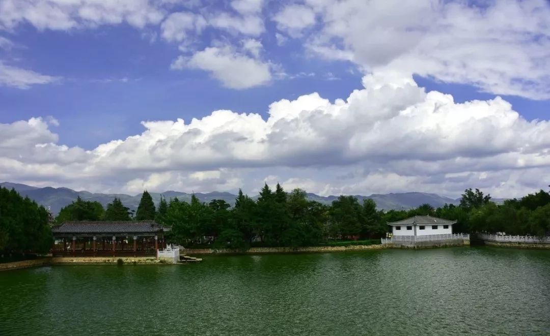 红河州新十条政策,蒙自最新政策公告