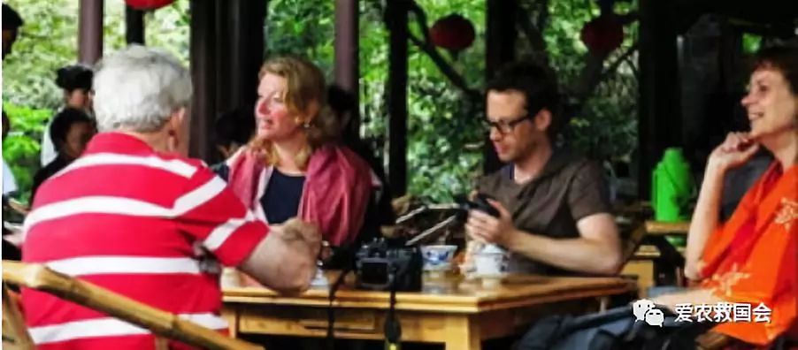 茶袋包装高档,茶袋茶叶包装