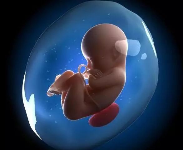 2020年分娩高峰,今年生育高峰