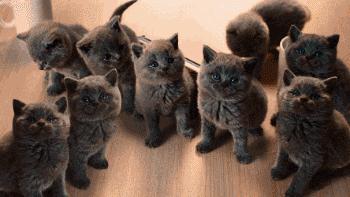 这些护肤的概念骗了你多久,护肤界的十大谎言